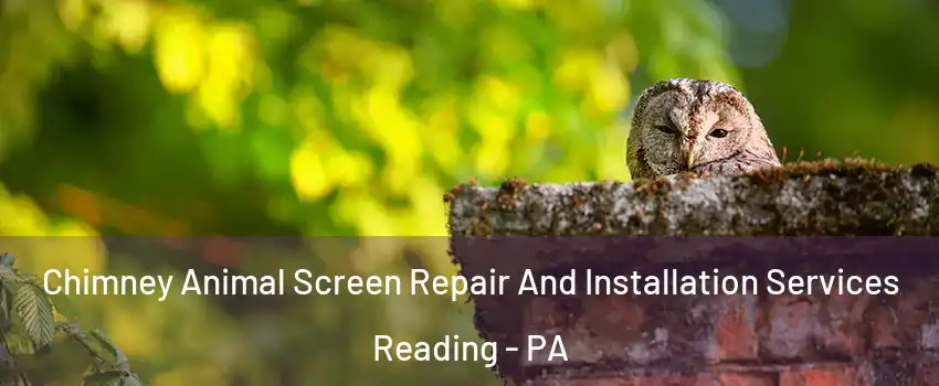  Chimney Animal Screen Repair And Installation Services Reading - PA