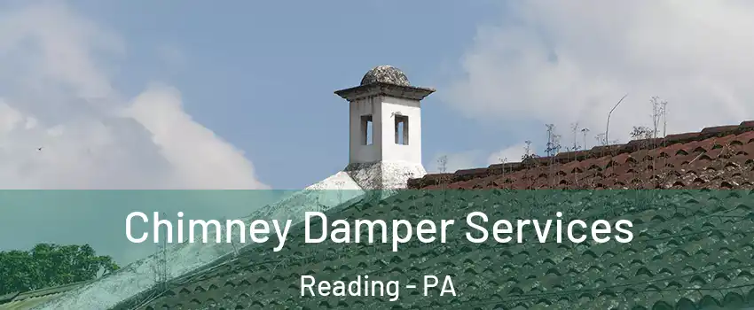  Chimney Damper Services Reading - PA