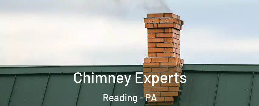  Chimney Experts Reading - PA