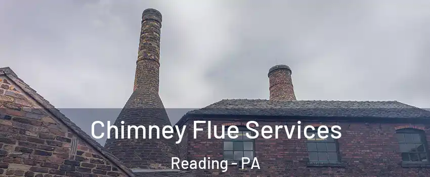  Chimney Flue Services Reading - PA
