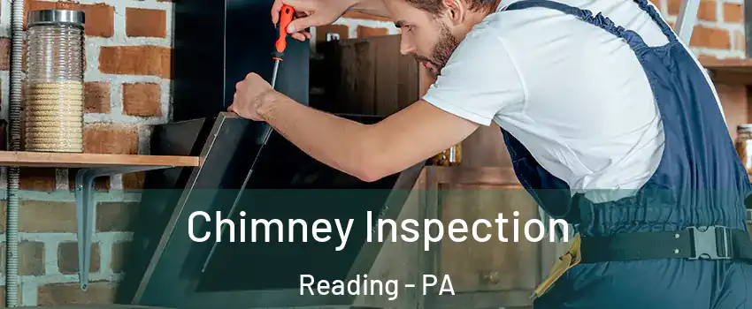  Chimney Inspection Reading - PA