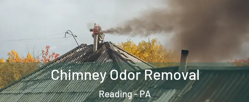  Chimney Odor Removal Reading - PA
