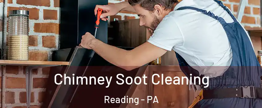  Chimney Soot Cleaning Reading - PA