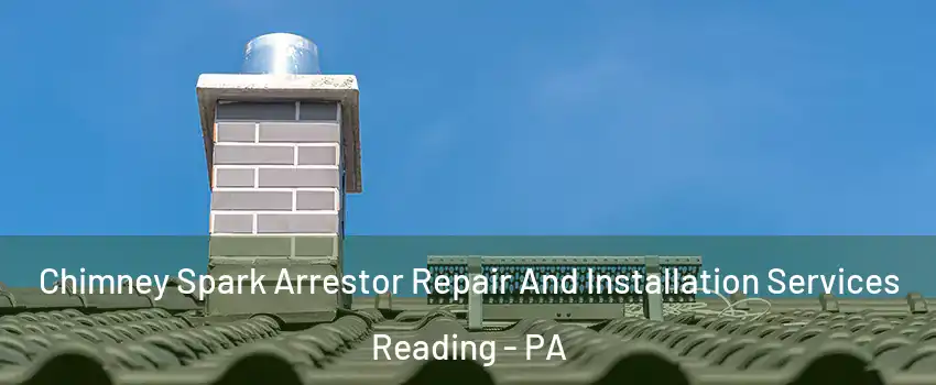  Chimney Spark Arrestor Repair And Installation Services Reading - PA