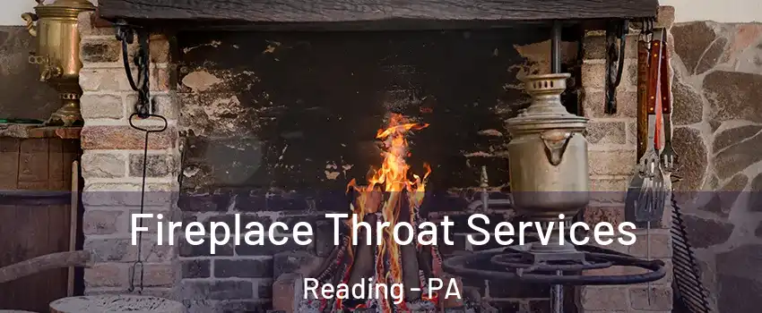  Fireplace Throat Services Reading - PA