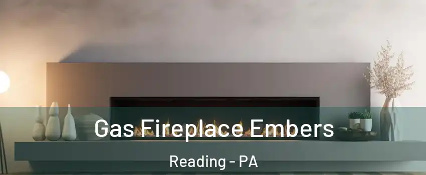  Gas Fireplace Embers Reading - PA