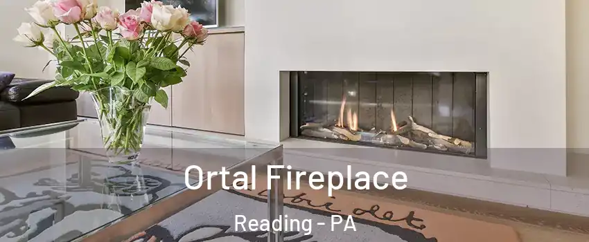  Ortal Fireplace Reading - PA